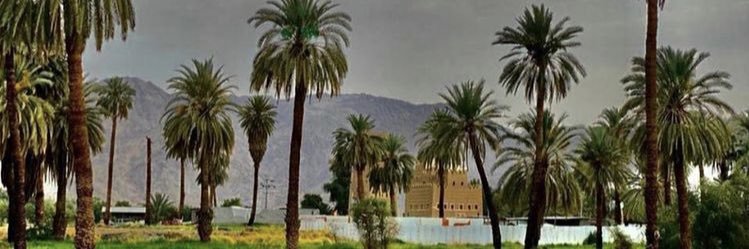 علي عبدالله ( متشافي سرطان ) banner