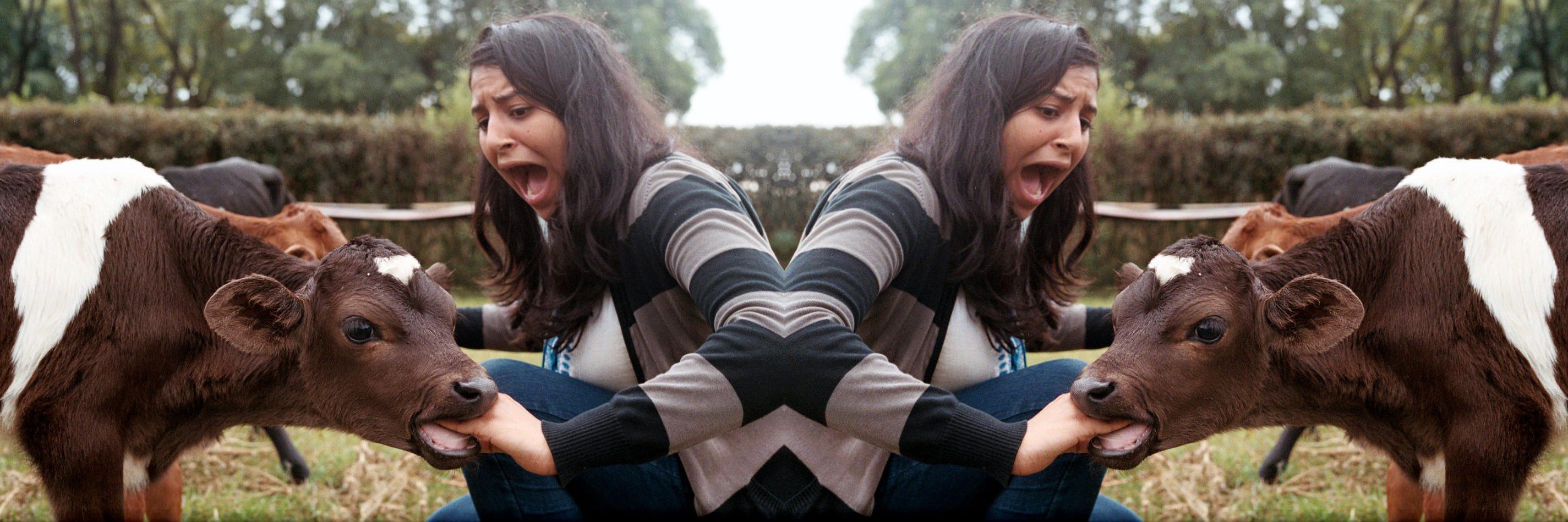 brananananandon's profile banner image