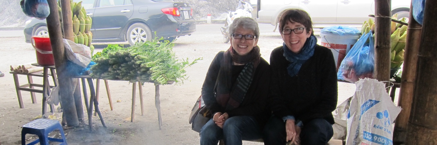 Domusnyc's profile banner image