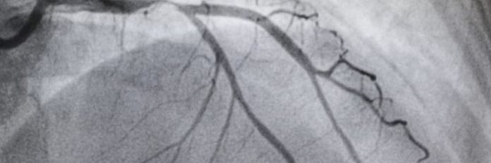 CECICath's profile banner image