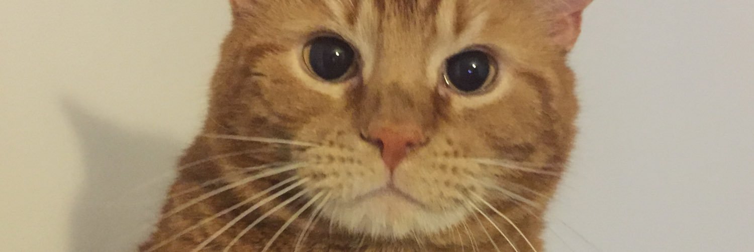 mrkmeik's profile banner image