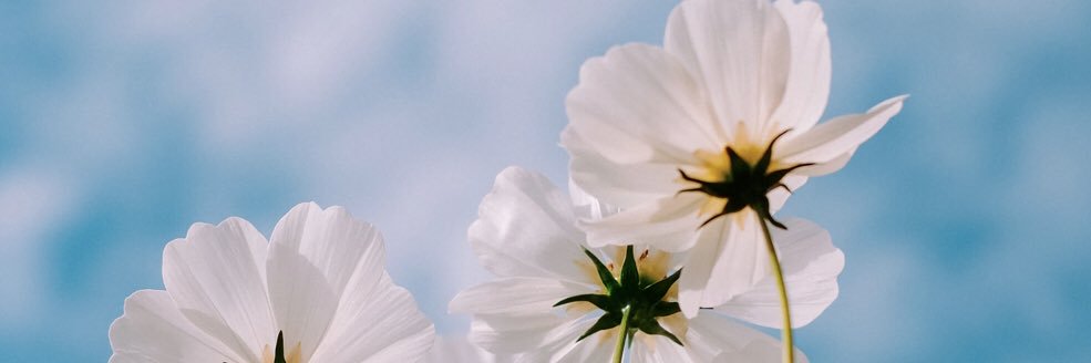 jungsoon224's profile banner image