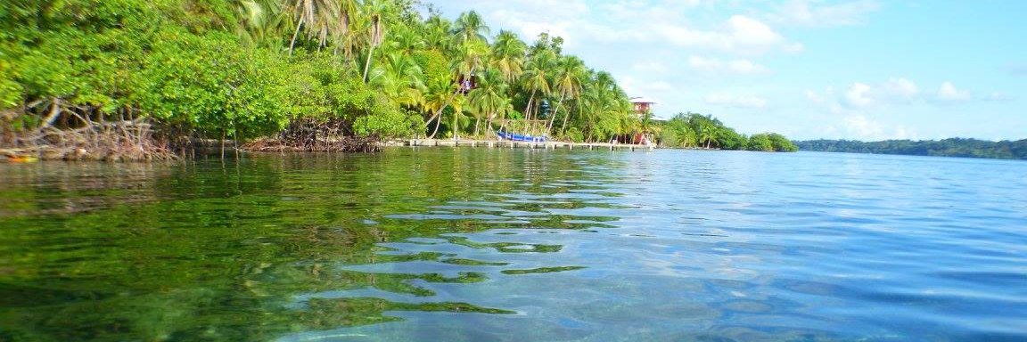 checkinbocas's profile banner image