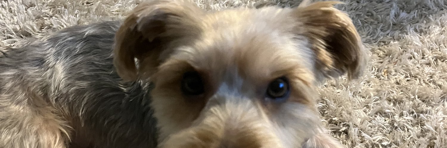 Stephen Hendrie banner