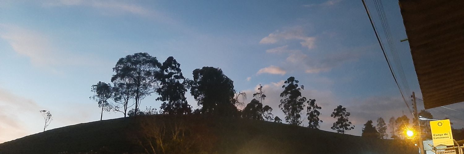 DANIEL ROJAS ROJAS banner