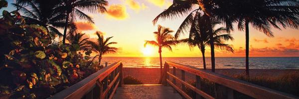 RelaxInFTL Profile Banner