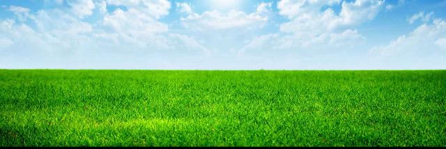 London Clean & Green banner
