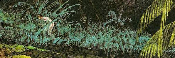 Laughlin McKinnon banner