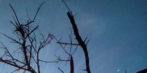 Ratishaw's profile banner image