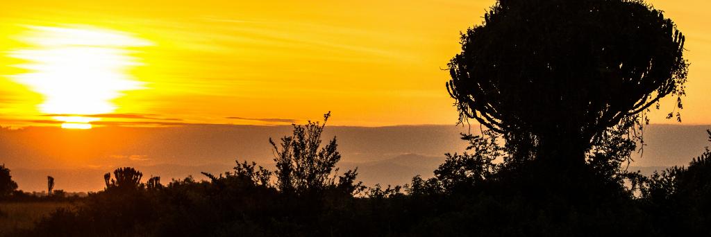 rosh_j's profile banner image