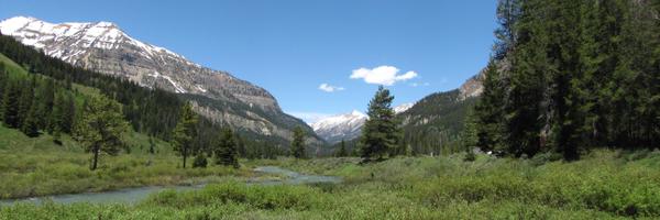 mark_enie Profile Banner