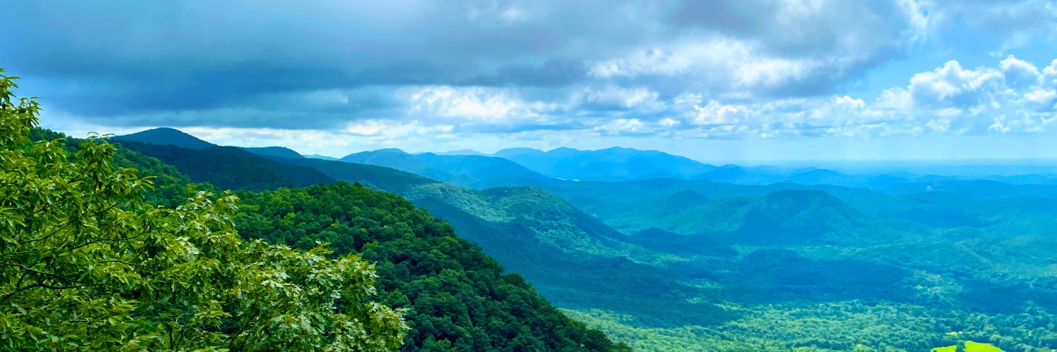 Wordborne Pathogens banner