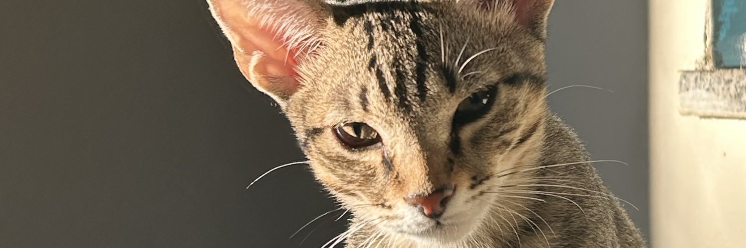FLauris_'s profile banner image
