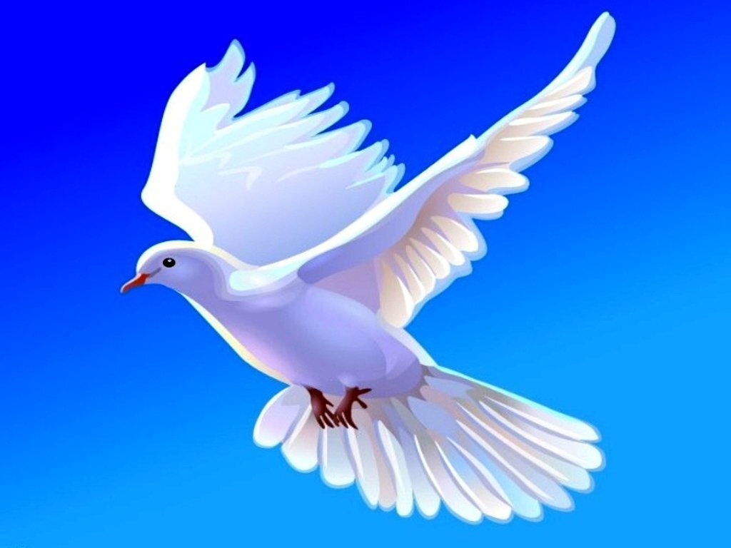 olorunbefunmi's profile banner image