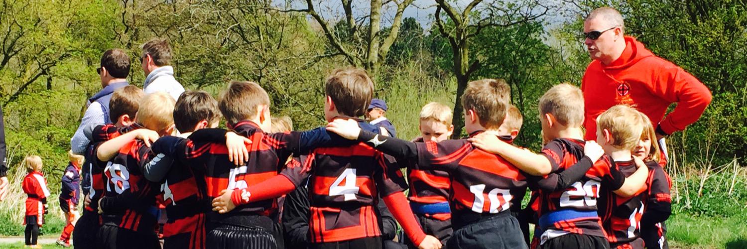 Mold RFC mini's banner