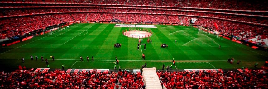 Caranguejo ♟️🎾🪖🏎️🍦🦀 banner