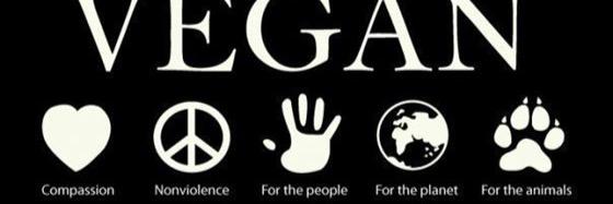 vegannprobs's profile banner image