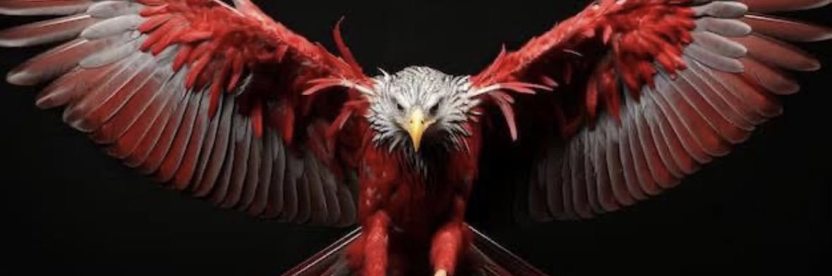 tmbowers's profile banner image
