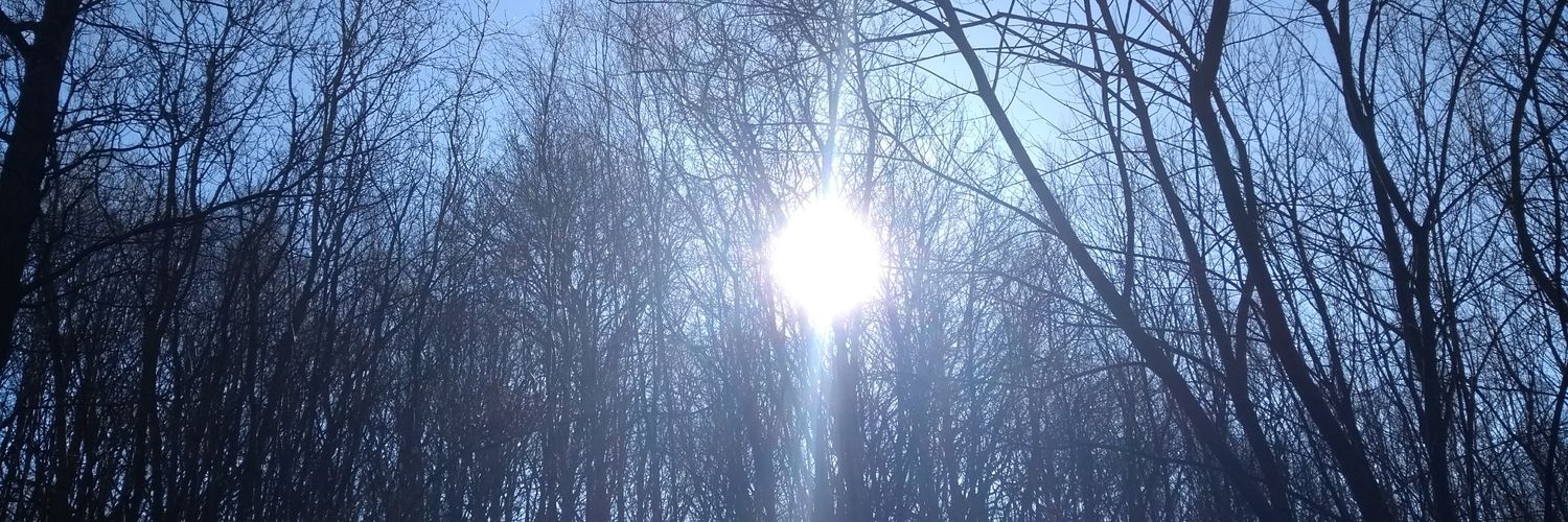 Jarl Hellion Charcoalshield banner