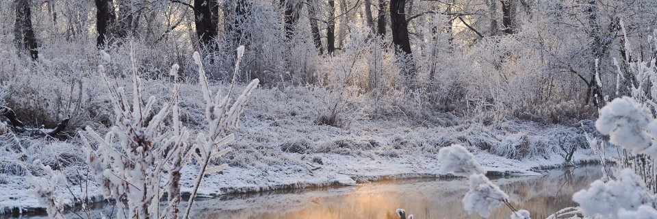AustinTreeServ's profile banner image
