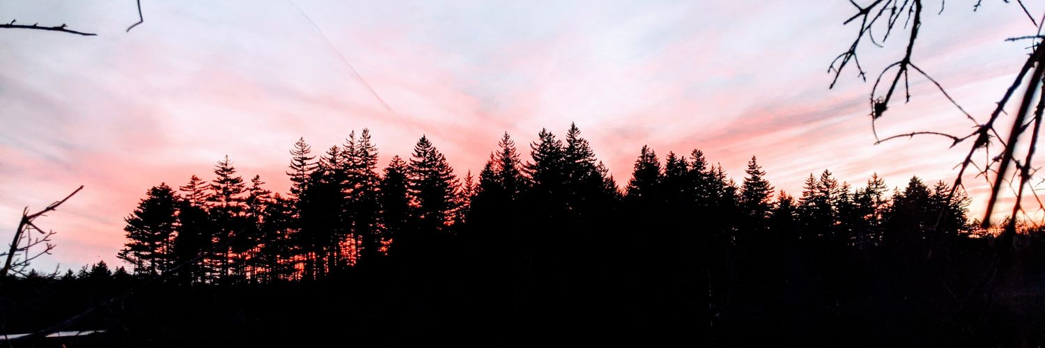 JsabB11's profile banner image