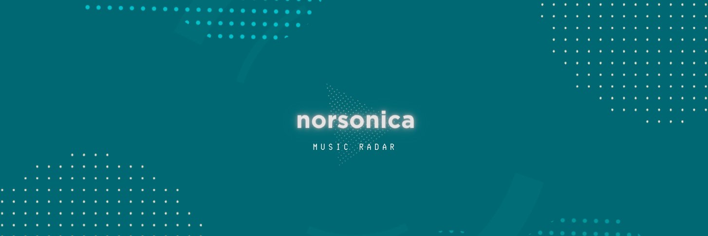 norsonica's profile banner image