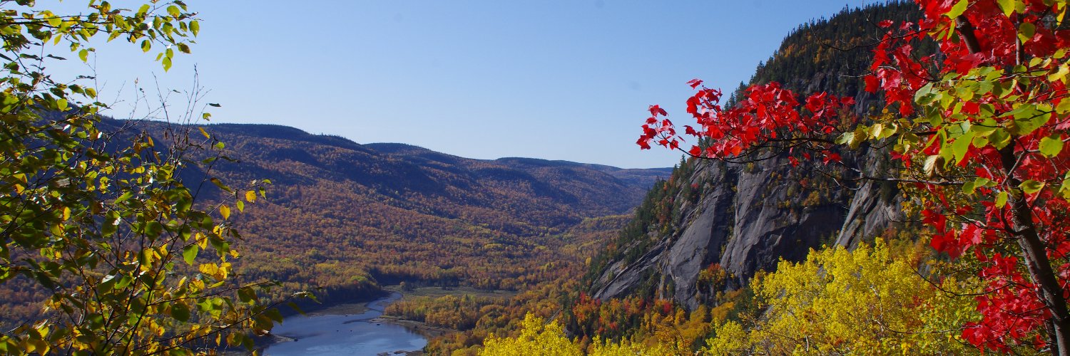 Julien / Sphinx banner