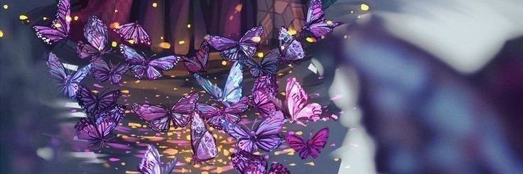 BiliDoy's profile banner image
