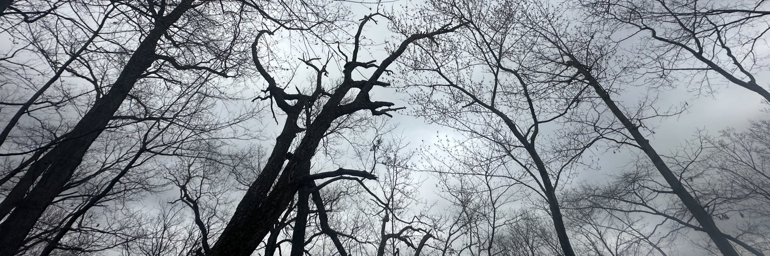 brainr0tt99's profile banner image
