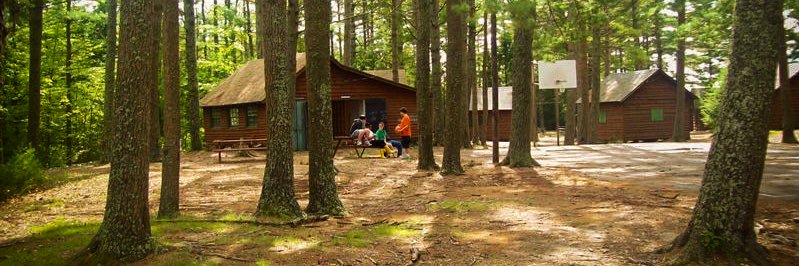 abbey whildin banner