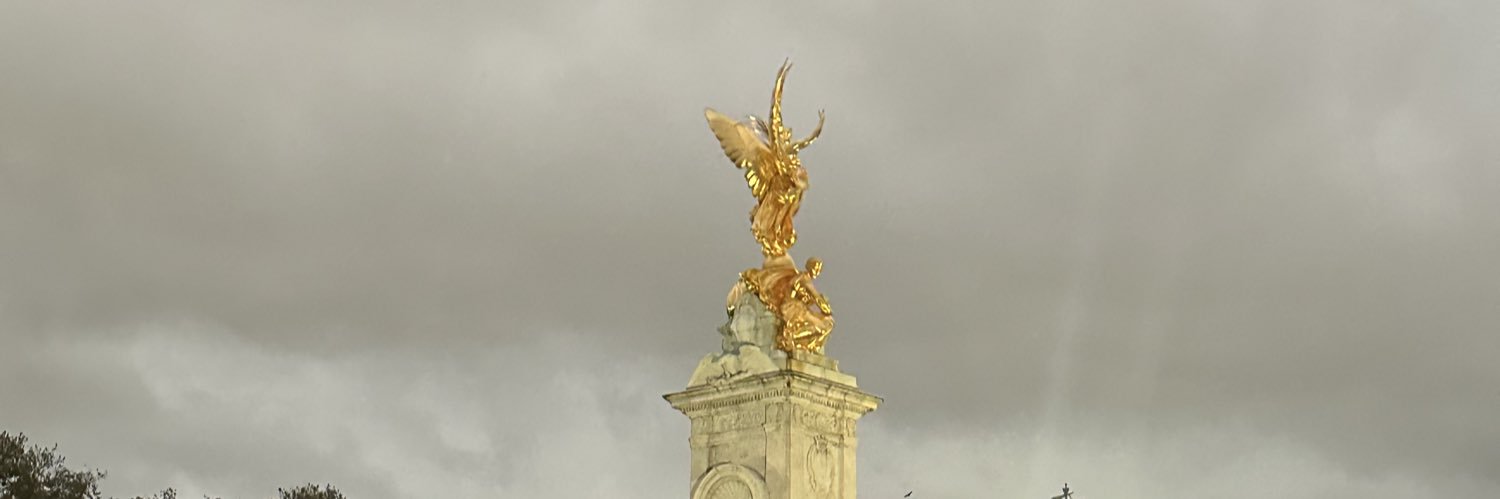 Allyson Marino banner