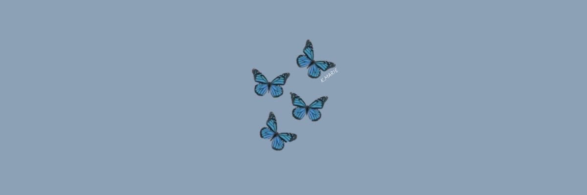 xasn98's profile banner image