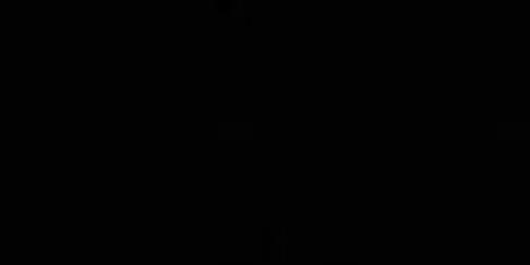 diego banner