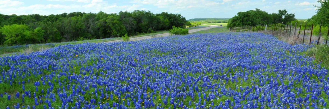Larry Johnson banner