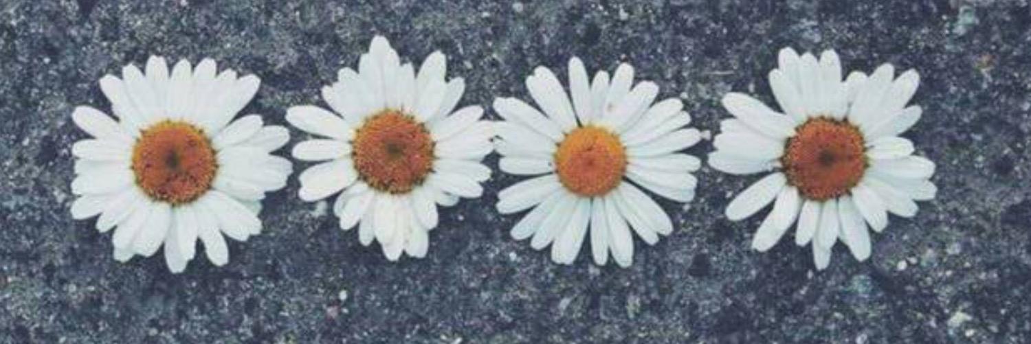 Rachelama's profile banner image