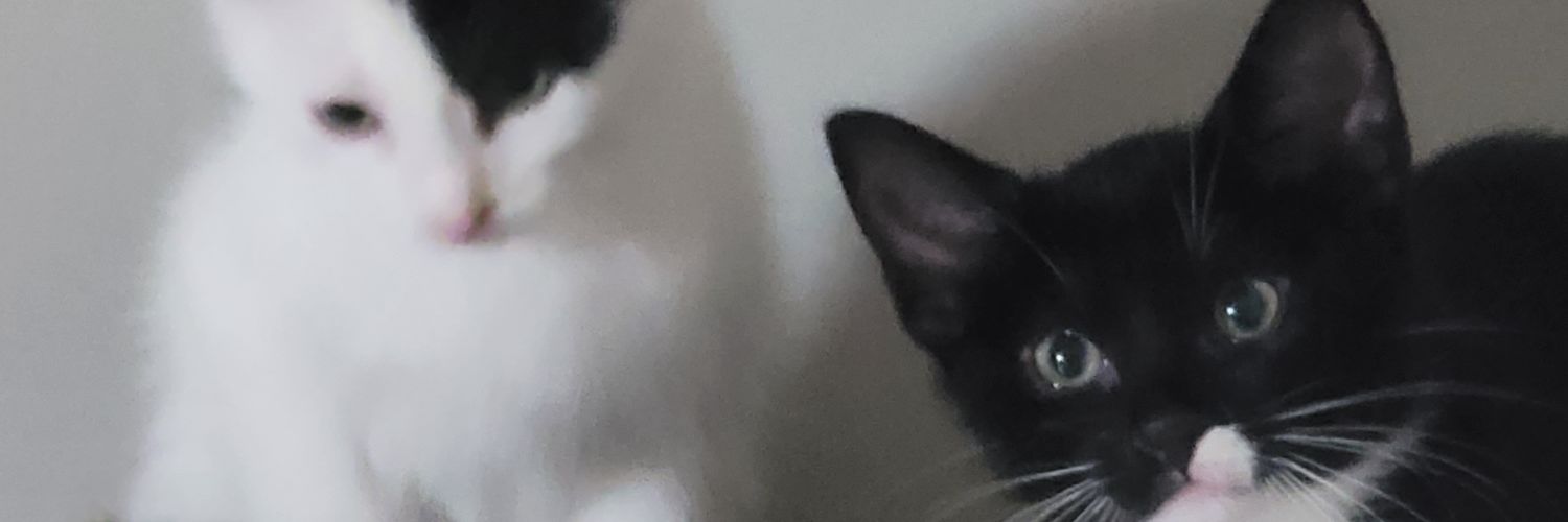 Gekiigami's profile banner image