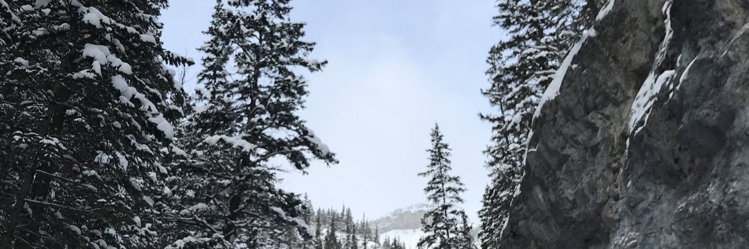 ryangraham_19's profile banner image