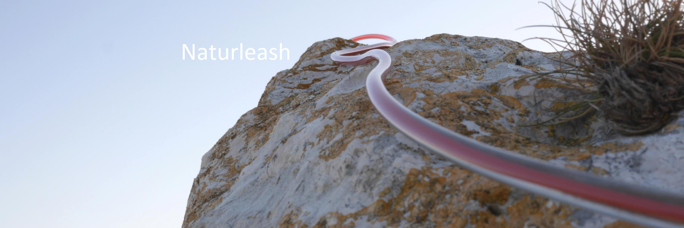Naturleash's profile banner image