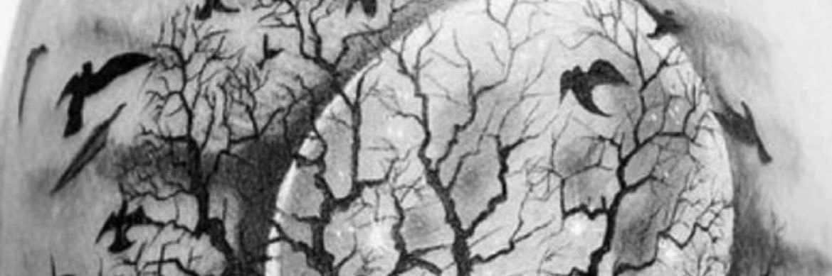 meaks78's profile banner image