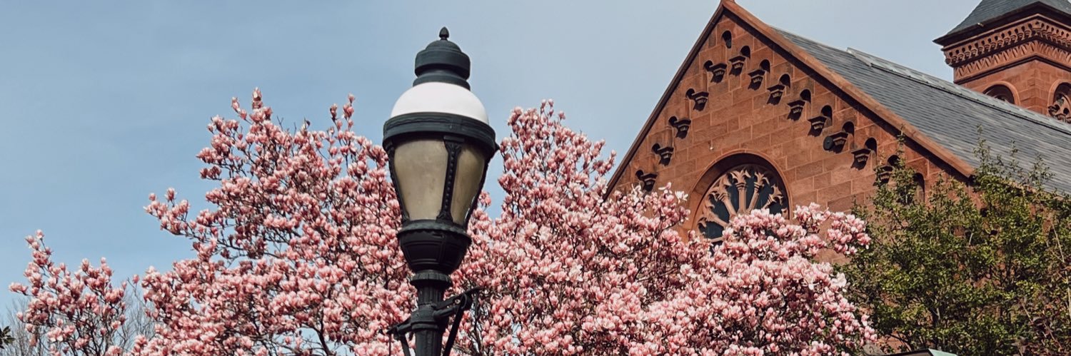 aleabasolo's profile banner image