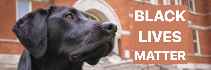 RealSNCDogAbbey's profile banner image