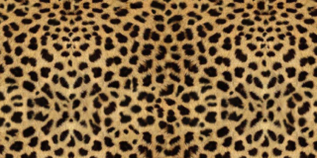 Chay_datbenik's profile banner image
