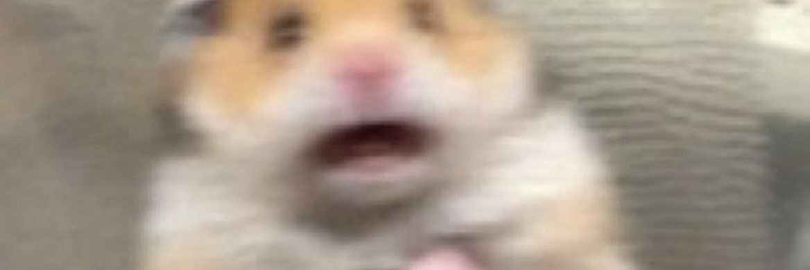 brooke_gib's profile banner image