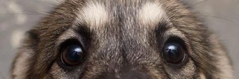 mzzakuyea's profile banner image