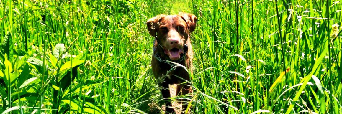 Triplett_GPS's profile banner image