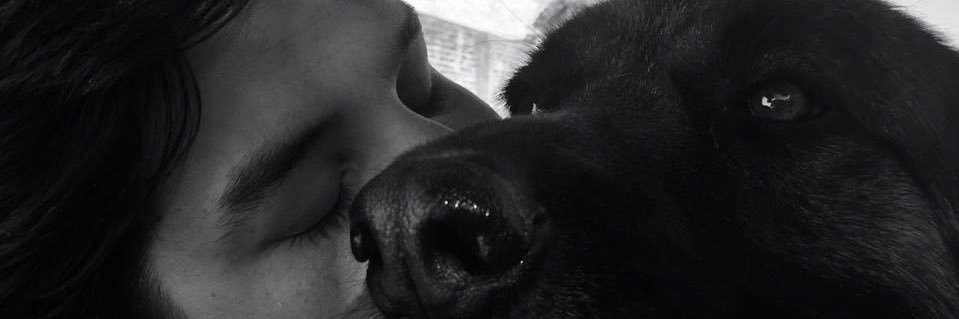 Laushe_'s profile banner image