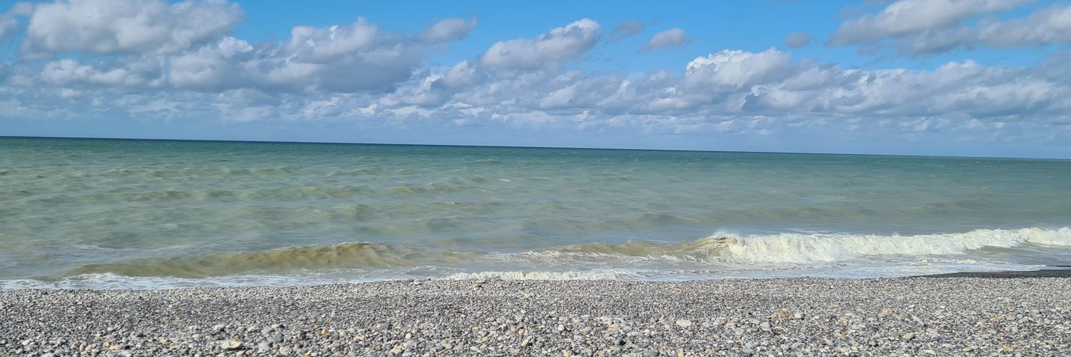 Joy_ssss's profile banner image