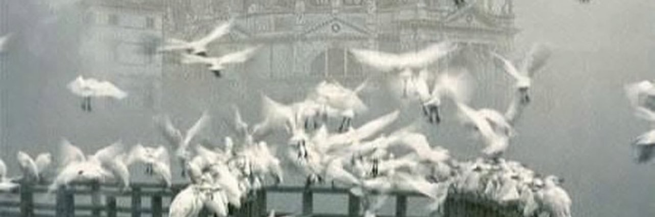 PeterWindhofer's profile banner image