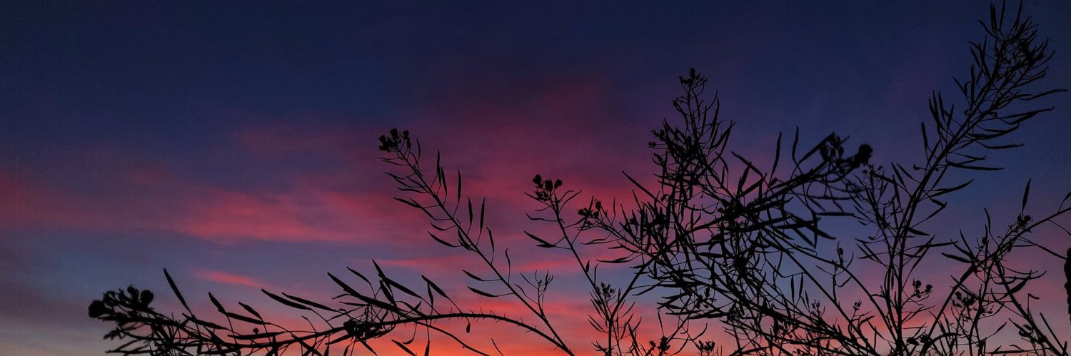erjoseleee's profile banner image