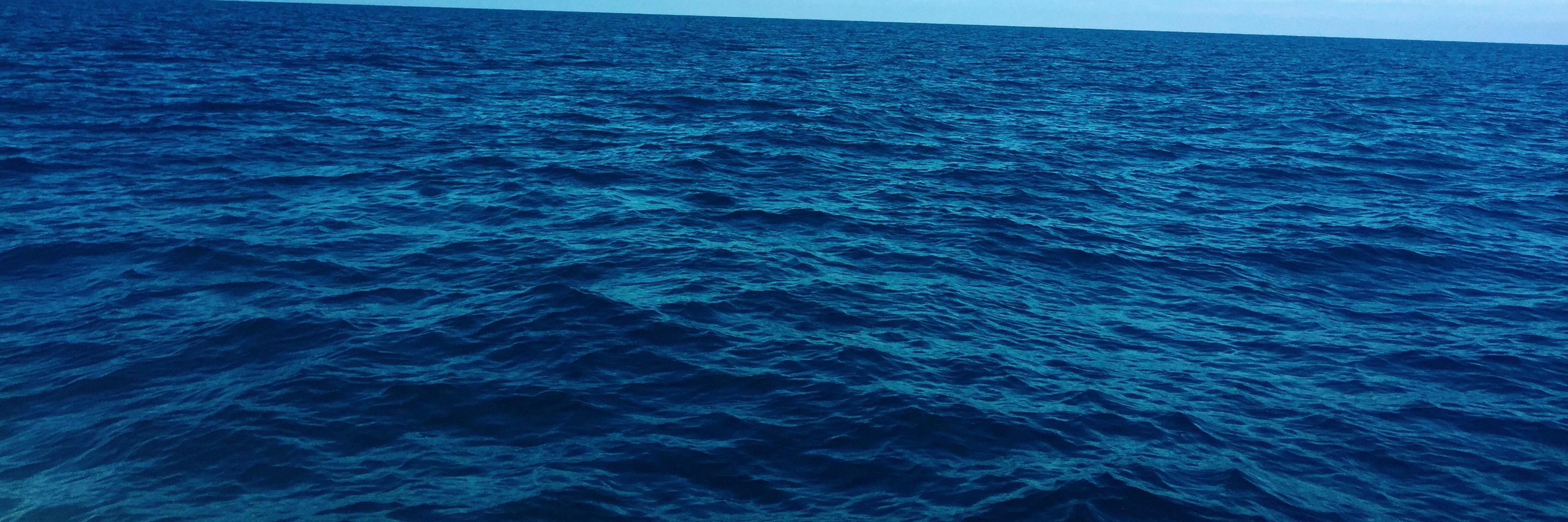 divebell3's profile banner image